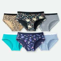 Ariel Cotton Blend Pack Of 6 Leopard Printed Striped Panties - Multi Colour-23