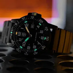 Luminox Men Black Dial & Black Straps Analogue Watch- XS.0321.L-image-34