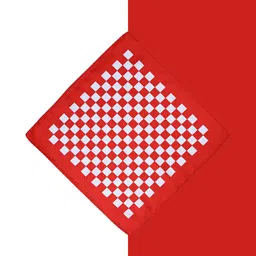 Cazzano Checked Microfiber Pocket Squares-image-36