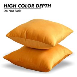 Shadowkart Set of 2 Fibre Filled Polyester Ultra Soft Sleep Pillow-40