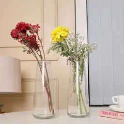 BS AMOR Transparent 2 Pieces Large Glass Flower Vases-image-61
