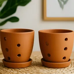 The handicraftian Hexane Orchid 2Pcs Orange-Colored Terracotta Small Planters - 4.5 Inch-picture-32