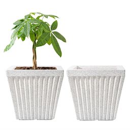 Kuber Industries 2Pcs White Textured Roto Mould Pihu Splash Flower Planters-9