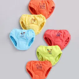 Redden Infant Girls Pack Of 6 Assorted Pure Cotton Basic Briefs R2-201M-PK6-picture-0