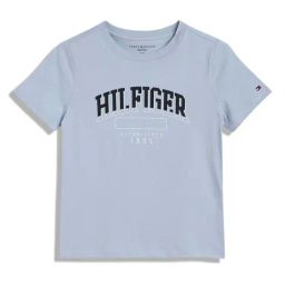 Tommy Hilfiger Kids Breezy Blue Printed Regular Fit T-Shirt-image-55