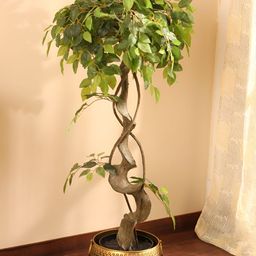 Elemntl Green 1 Pieces Bonsai With Pot-58