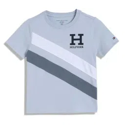 Tommy Hilfiger Kids Breezy Blue Colorblock Regular Fit T-Shirt-image-91