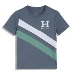 Tommy Hilfiger Kids Blue Coal Colorblock Regular Fit T-Shirt-image-83