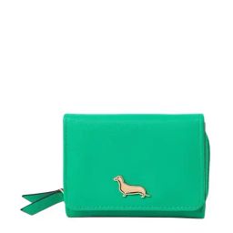 Accessorize London Green Solid Tri-Fold Wallet for Women-image-57