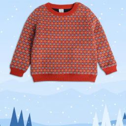 MINIKLUB Kids Orange Printed Full Sleeves Sweater-picture-19