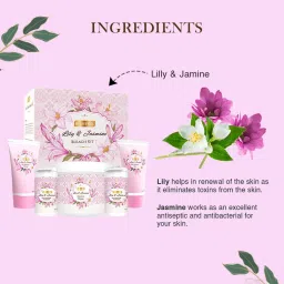 Richfeel Lily & Jasmine Bleach Kit image 2