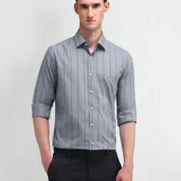 Arrow Grey Cotton Slim Fit Striped Shirt-picture-25
