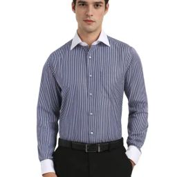 Allen Solly Navy Cotton Regular Fit Striped Shirt-image-89