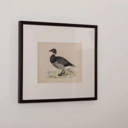 Home4U Cfo 140064 Multicolor Ceramic Wall Art-image-87