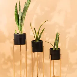 THREADVIBE LIVING 3Pcs Black & Yellow Metal Plant Stand With Planters-54