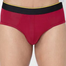 bummer Men Pack of 2 Men's Solid Micro Modal Briefs Underwear BRGRMGE02S-picture-11