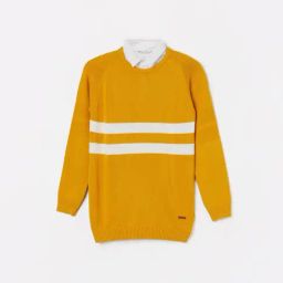 Fame Forever by Lifestyle Boys Blue Cotton Poly Sweater-image-47