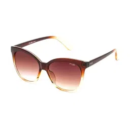 Irus Brown Oval Sunglasses For Women-image-8
