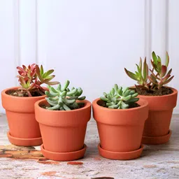 The handicraftian 4-Pcs Brown Small Gamala Planters-39