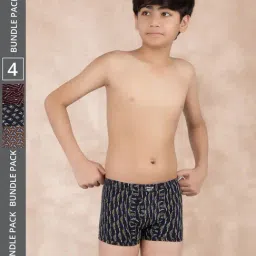 Dollar Bigboss Boys Multicolor Printed Trunks (Pack Of 4)-picture-7