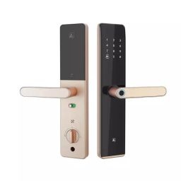 A2 SWEDEN Smart Lock Upto 100 Fingerprint & Upto 100 IC Card Acess Champagne Gold, FIORI CG-5