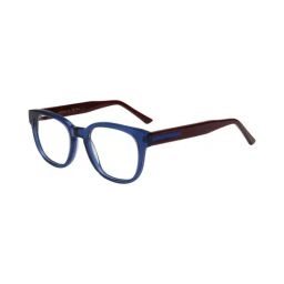 Ted Smith Blue Wayfarer Unisex Eyewear Frames-picture-42