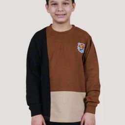 Kiddopanti Boys Multicolor Color Block Full Sleeves Sweatshirts Hoodies-image-101