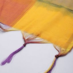 Shaily Multicoloured & Multicoloured Checked Dupatta image 2