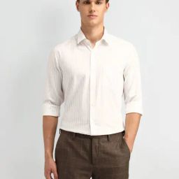 Arrow Beige Cotton Slim Fit Striped Shirt-picture-25