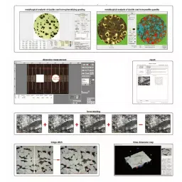 Insize Metallurgical Analysis Software and Camera with 3M Pixel and 6 fps Frame Rate, ISM-MAS100 image 3