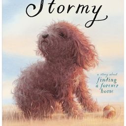 Stormy Picture Book by Guojing - English-14