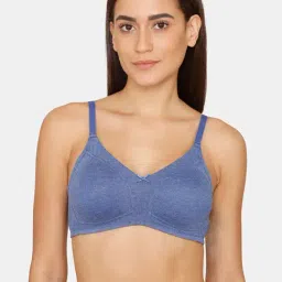 Rosaline by Zivame Blue Non Wired Non Padded T-Shirt Bra-picture-10