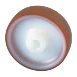 LAG Brown, White Polyurethane Hygienic, Low Rolling Resistance, Non-Marking Trolley Wheel, 160 Kg, 9068-image-11