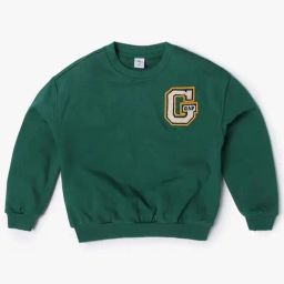 GAP Boys Green Blended Embroidered Sweatshirt-image-115
