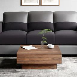 Godrej Interio Concord Brown Engineered Wood Coffee Table-19