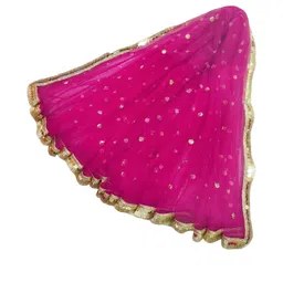 Navti Creations Pink Sequinned Embroidered Dupatta-picture-2