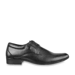 Mochi Men's Black Derby Shoes-image-51