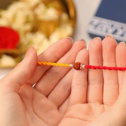 Zavya Spiritual Protection Rudraksh Rhodium-Plated Silver Thread Rakhi-image-1