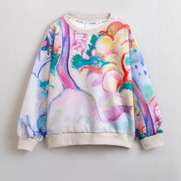 Hopscotch Boys Multi Polyester Sweatshirts-picture-28