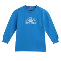 Tommy Hilfiger Kids Cerulean Aqua Embroidery Regular Fit T-Shirt-image-28