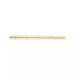 Screw Tight 23.5 Inch Iron Antique Brass Finish Continuous Hinges S170802EB-10 ( Pack of 10 )-image-81