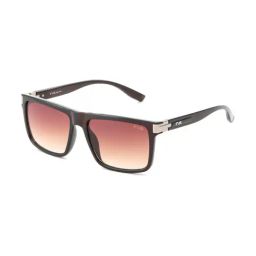 Irus Brown Square Sunglasses For Men-42