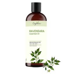 Organic Bliss Ravensara Essential Beauty Oil For Face, Hair & Body - 50 ml-image-47