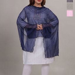 Fabme Embroidered Dupatta with Beads and Stones-4