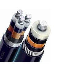 Polycab 400 Sq.mm 2 Core Aluminium Conductor Armoured LT Power Cable A2XWY/A2XFY-image-98