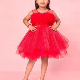 BAESD Net Fit & Flare Dress-16