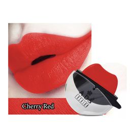 A.D.S Set Of 2 Lip Shape Apple Design Long Lasting Lipstick -10 gm Each - Shade -05 - 06 image 2