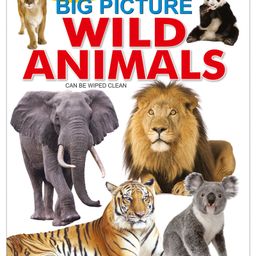 Sawan My First Board Book of Big Picture Wild Animals-10