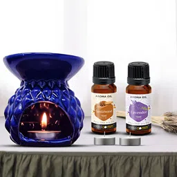 PEEPALCOMM 3-Pcs Blue Aroma Oil Diffuser With Scented Oils image 2