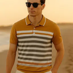 Dadu Dayal Striped Polo Collar Bio Finish Cotton T-shirt-picture-40